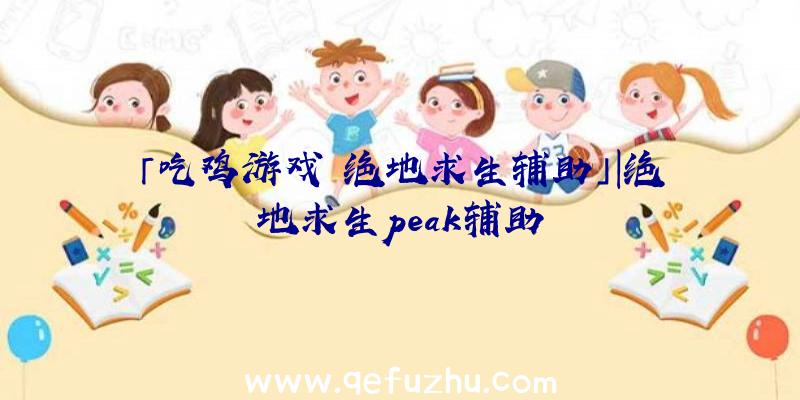 「吃鸡游戏